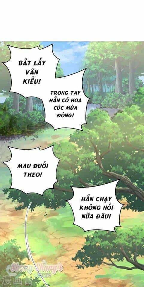 Ta Ở Dị Giới Nuôi Dưỡng Nam Thần: Thần Y Cửu Tiểu Thư - Chương 206 - ảnh 22