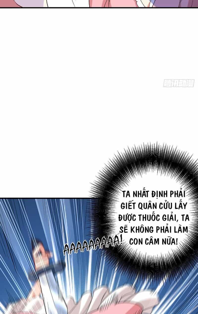 Ta Ở Dị Giới Nuôi Dưỡng Nam Thần: Thần Y Cửu Tiểu Thư - Chương 22 - ảnh 16