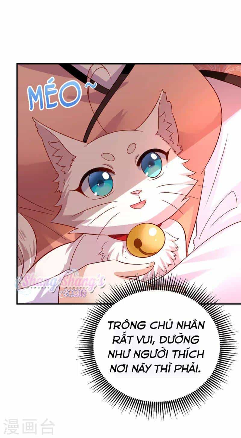 Ta Ở Dị Giới Nuôi Dưỡng Nam Thần: Thần Y Cửu Tiểu Thư - Chương 231 - ảnh 22