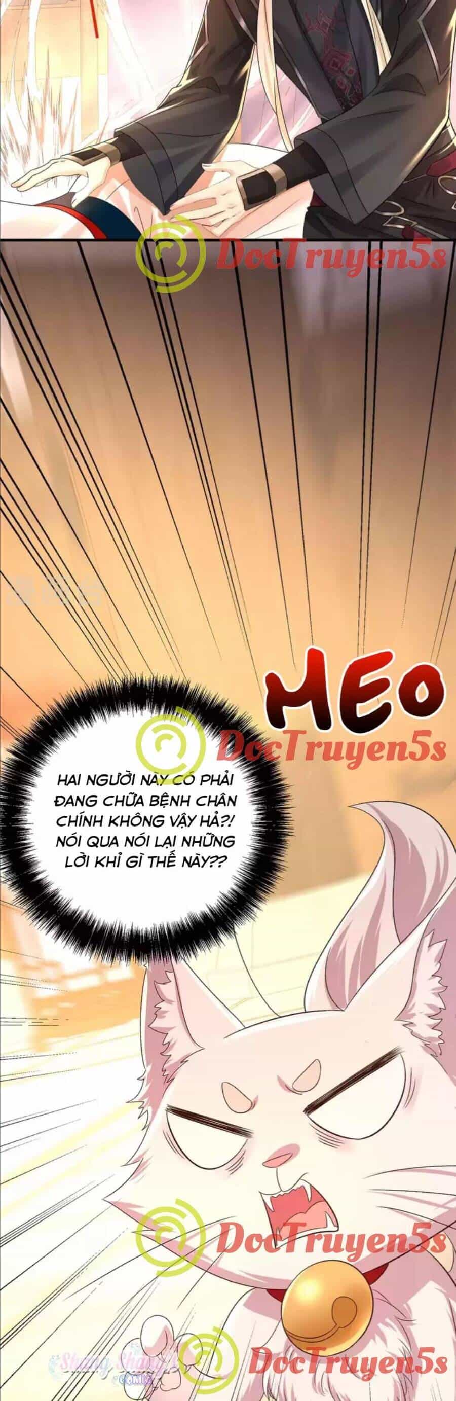 Ta Ở Dị Giới Nuôi Dưỡng Nam Thần: Thần Y Cửu Tiểu Thư - Chương 238 - ảnh 11