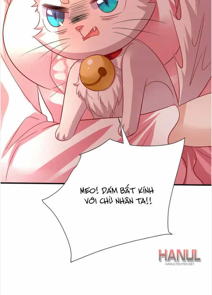 Ta Ở Dị Giới Nuôi Dưỡng Nam Thần: Thần Y Cửu Tiểu Thư - Chương 254 - ảnh 19