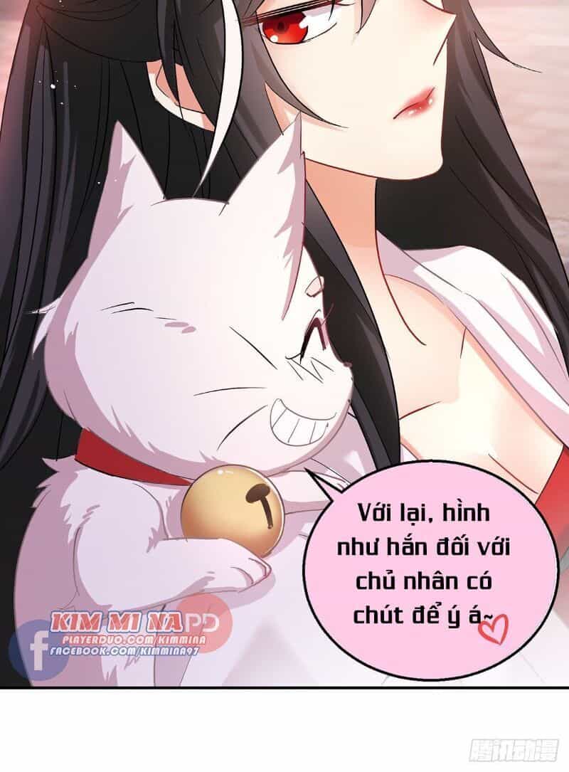 Ta Ở Dị Giới Nuôi Dưỡng Nam Thần: Thần Y Cửu Tiểu Thư - Chương 26 - ảnh 4