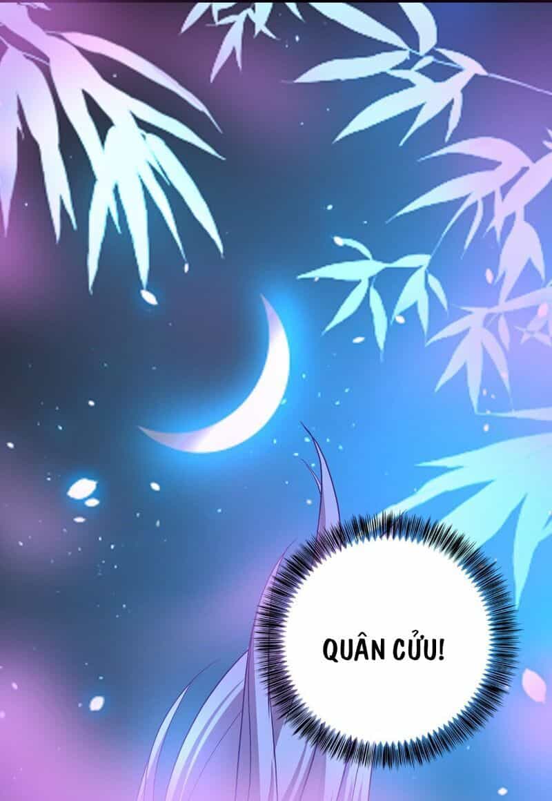 Ta Ở Dị Giới Nuôi Dưỡng Nam Thần: Thần Y Cửu Tiểu Thư - Chương 31 - ảnh 25