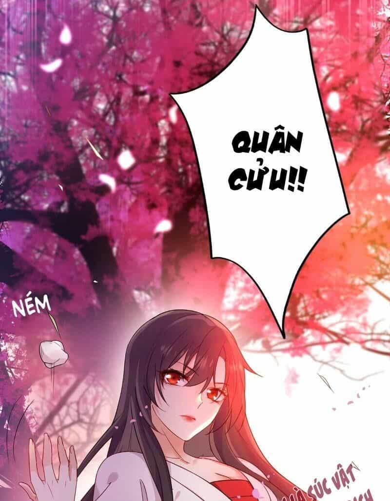 Ta Ở Dị Giới Nuôi Dưỡng Nam Thần: Thần Y Cửu Tiểu Thư - Chương 7 - ảnh 20