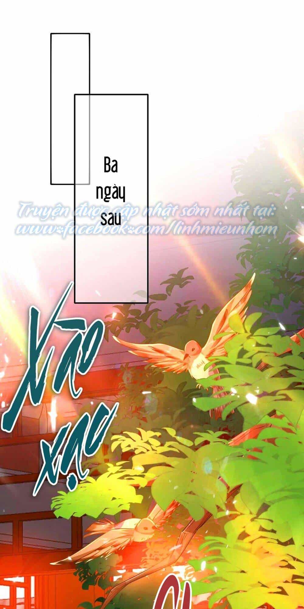 Ta Ở Dị Giới Nuôi Dưỡng Nam Thần: Thần Y Cửu Tiểu Thư - Chương 94 - ảnh 23