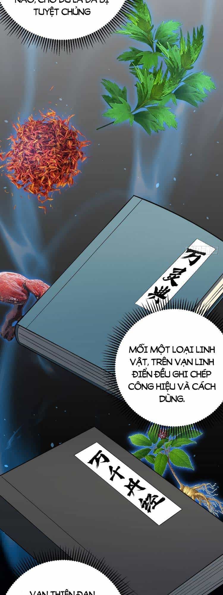 Ta Ở Nhà 100 Năm Khi Ra Ngoài Đã Vô Địch - Chương 30 - ảnh 26