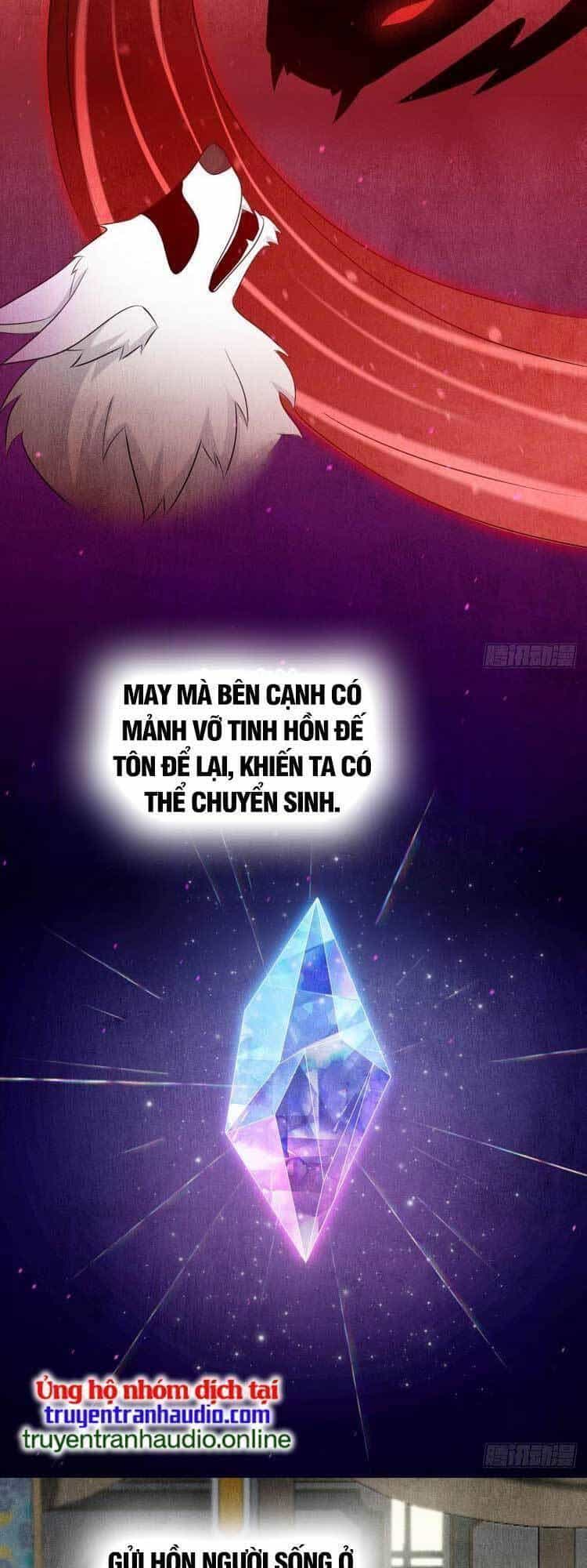 Ta Ở Nhà 100 Năm Khi Ra Ngoài Đã Vô Địch - Chương 59 - ảnh 6