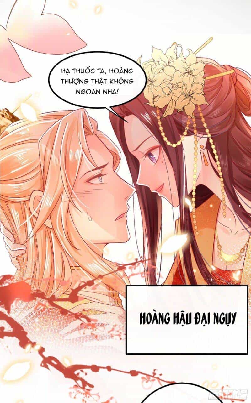 Ta Phải Làm Hoàng Hậu - Chương 20 - ảnh 11