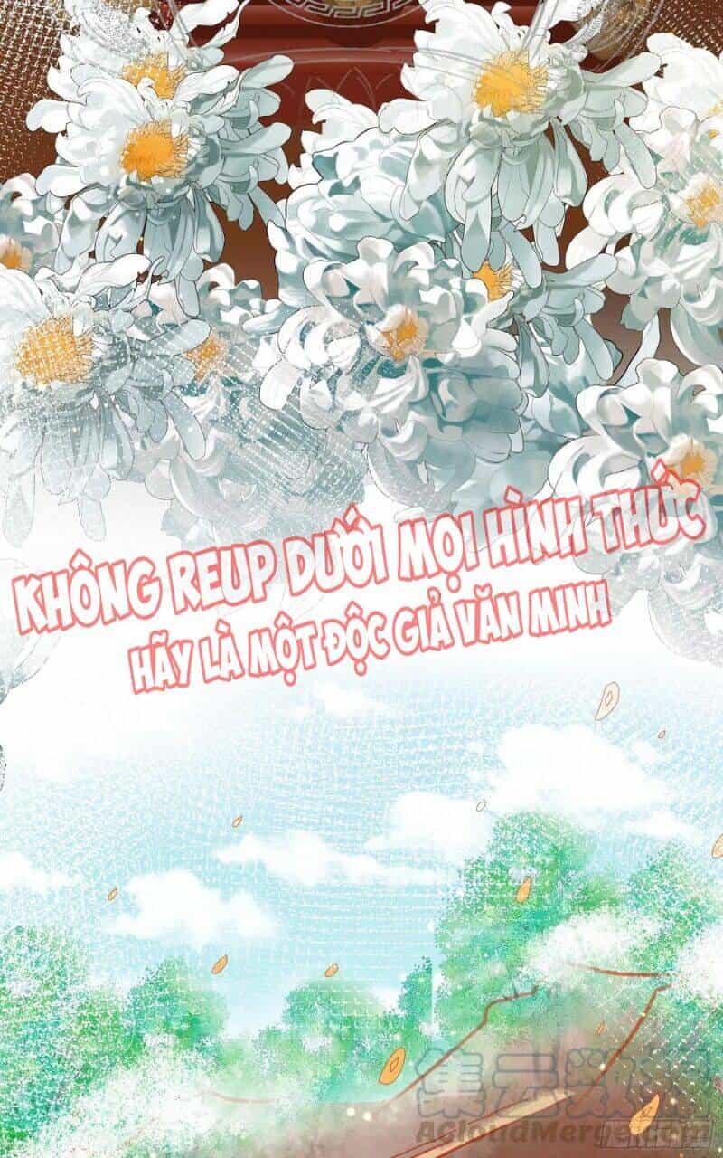 Ta Phải Làm Hoàng Hậu - Chương 29 - ảnh 19