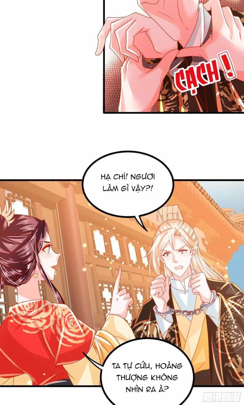 Ta Phải Làm Hoàng Hậu - Chương 34 - ảnh 31