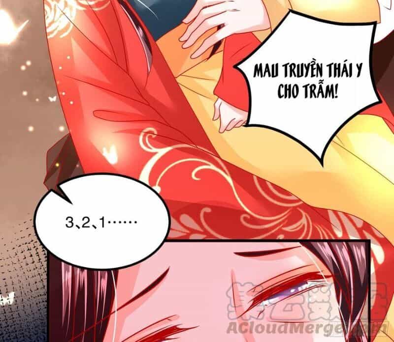Ta Phải Làm Hoàng Hậu - Chương 35 - ảnh 36