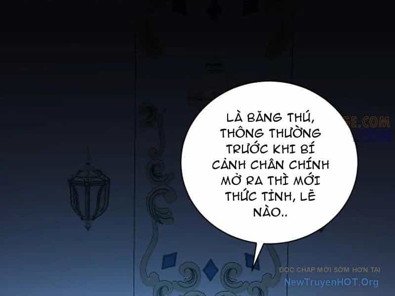Ta Thành Vương Giả Từ Khắc Kim - Chương 41 - ảnh 104