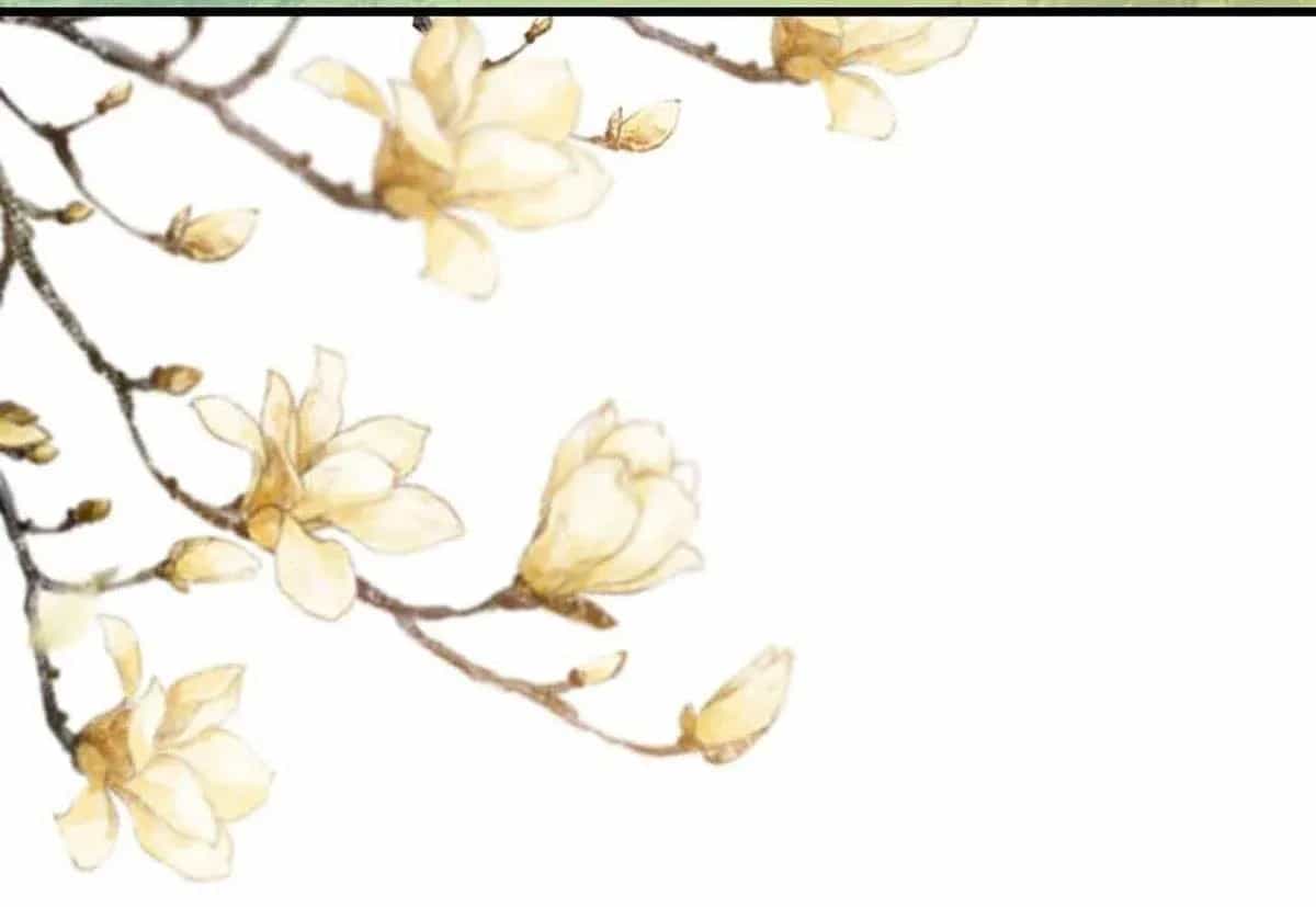 Ta Thuần Phục Bạo Vương - Chương 3 - ảnh 18