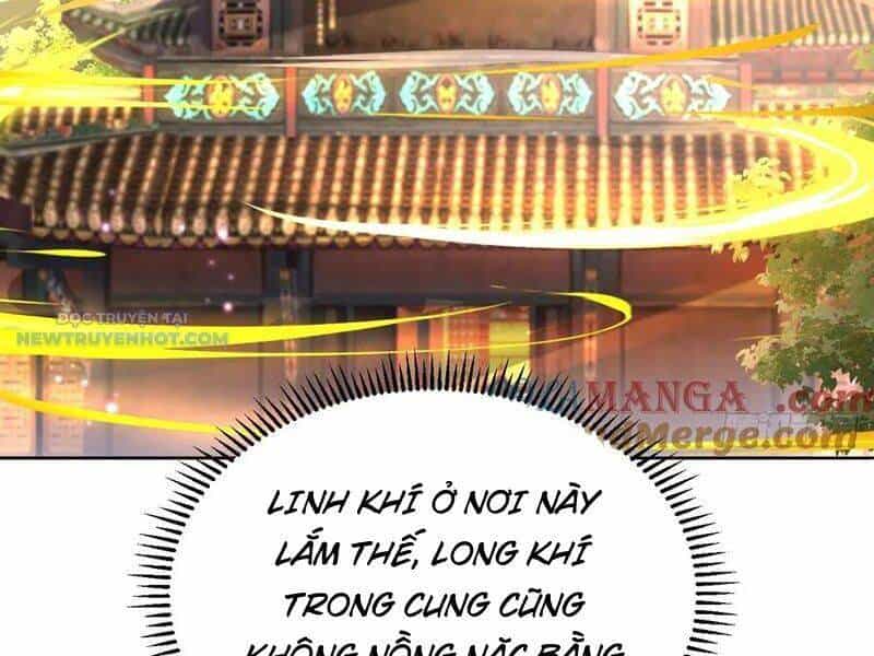 Ta Thực Sự Không Muốn Làm Thần Tiên - Chương 70 - ảnh 50