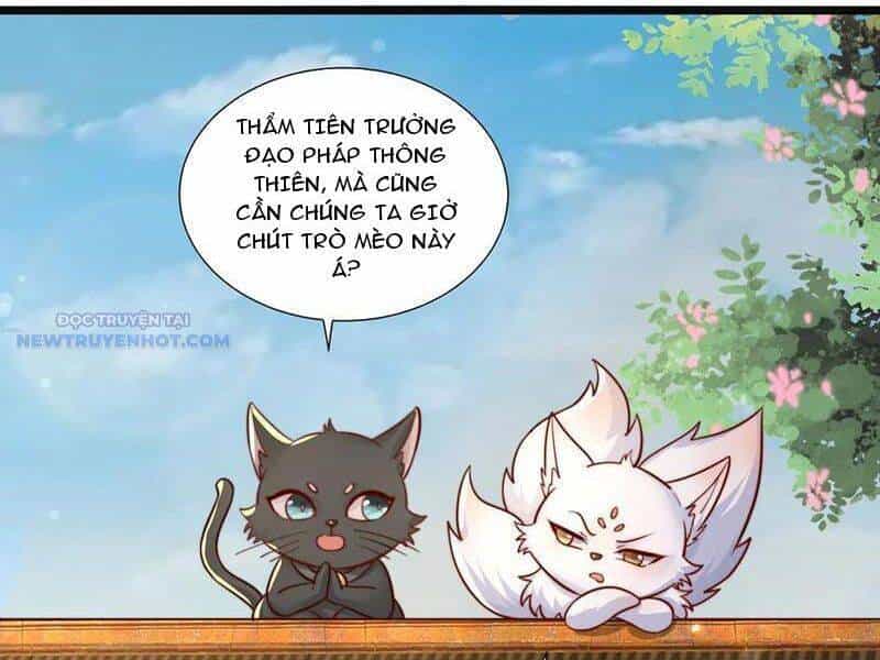 Ta Thực Sự Không Muốn Làm Thần Tiên - Chương 77 - ảnh 4