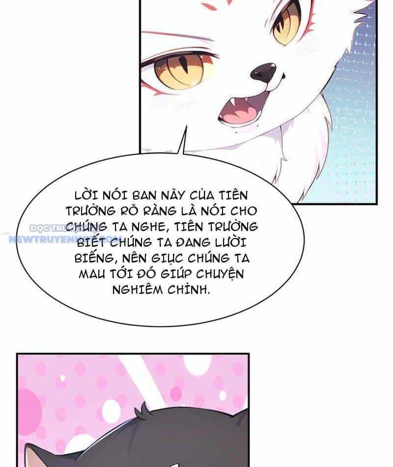 Ta Thực Sự Không Muốn Làm Thần Tiên - Chương 86 - ảnh 46
