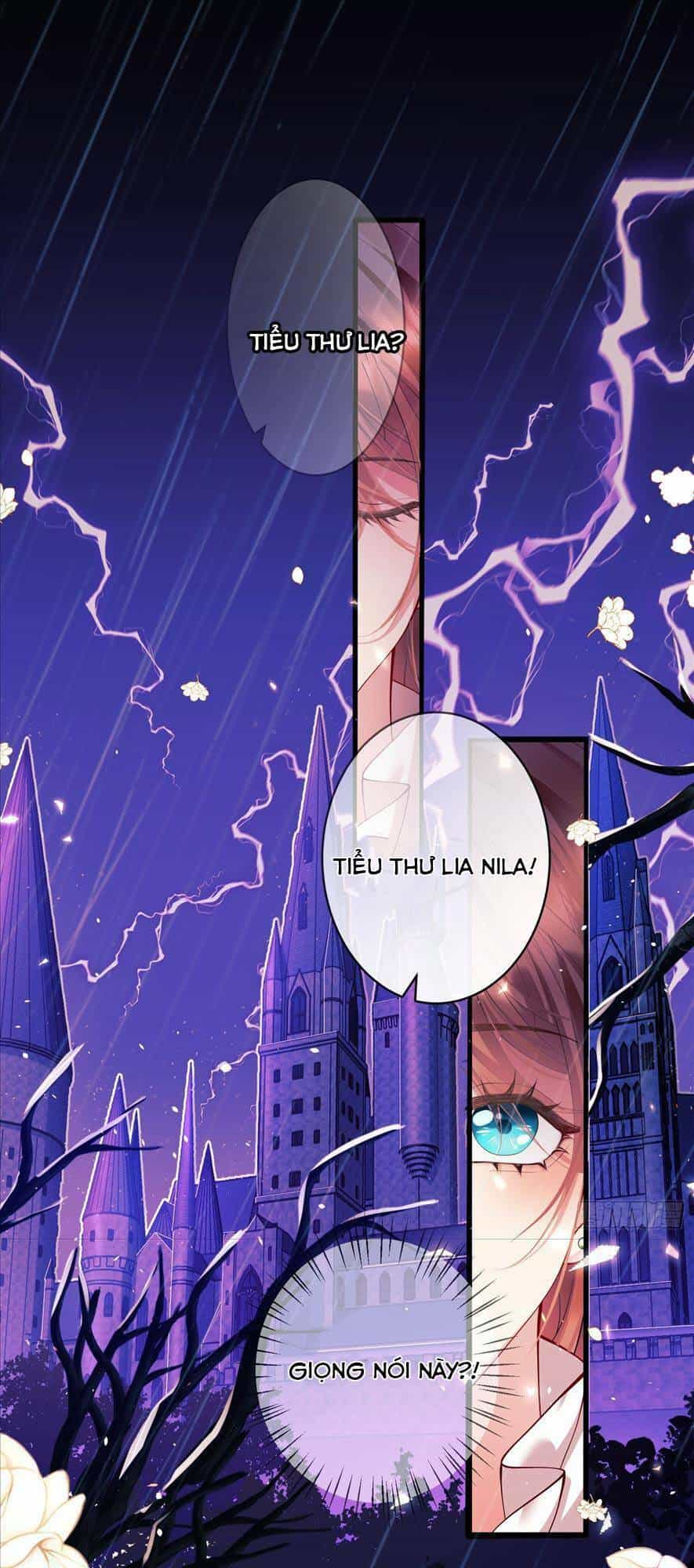 Ta Trở Thành Đồ Chơi Nguy Hiểm Của Vương Gia - Chương 2 - ảnh 27