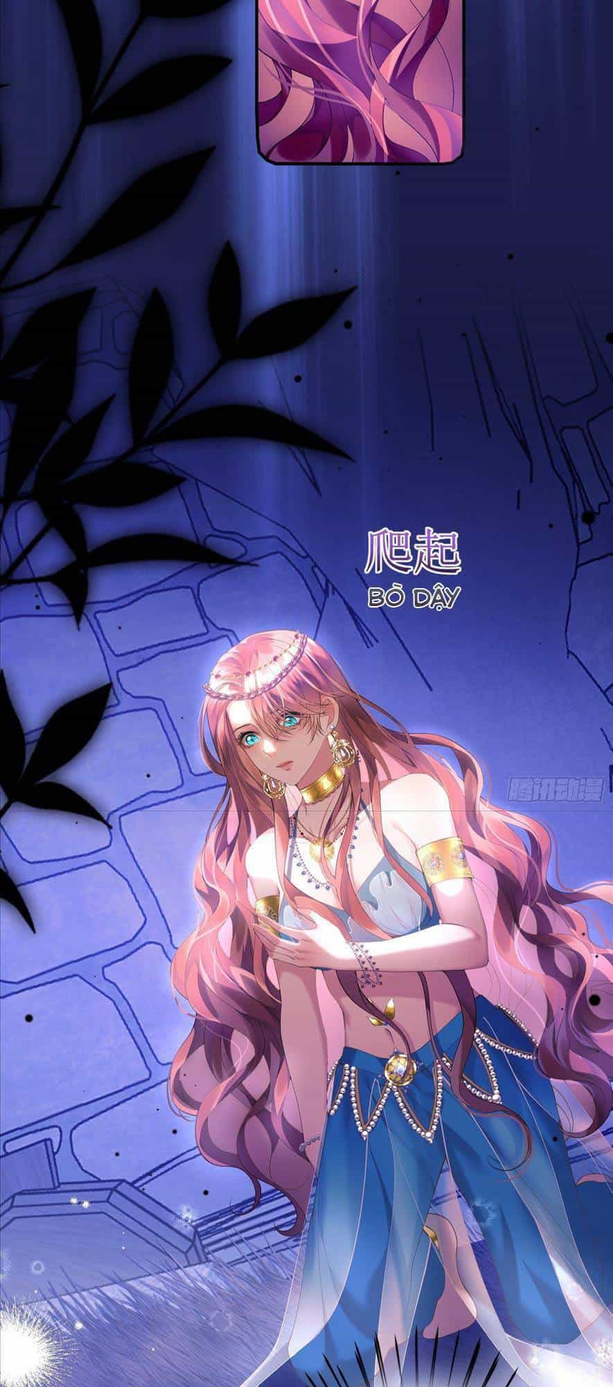 Ta Trở Thành Đồ Chơi Nguy Hiểm Của Vương Gia - Chương 2 - ảnh 3