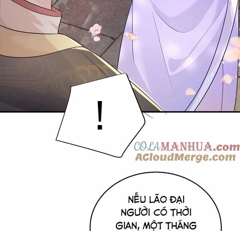 Ta Vô Địch Lúc Nào - Chương 160 - ảnh 62