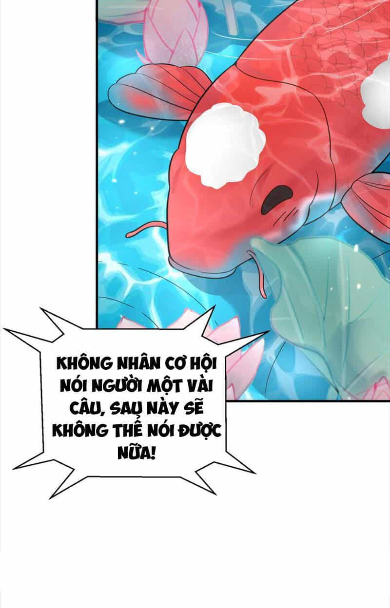Ta Vô Địch Lúc Nào - Chương 176 - ảnh 54