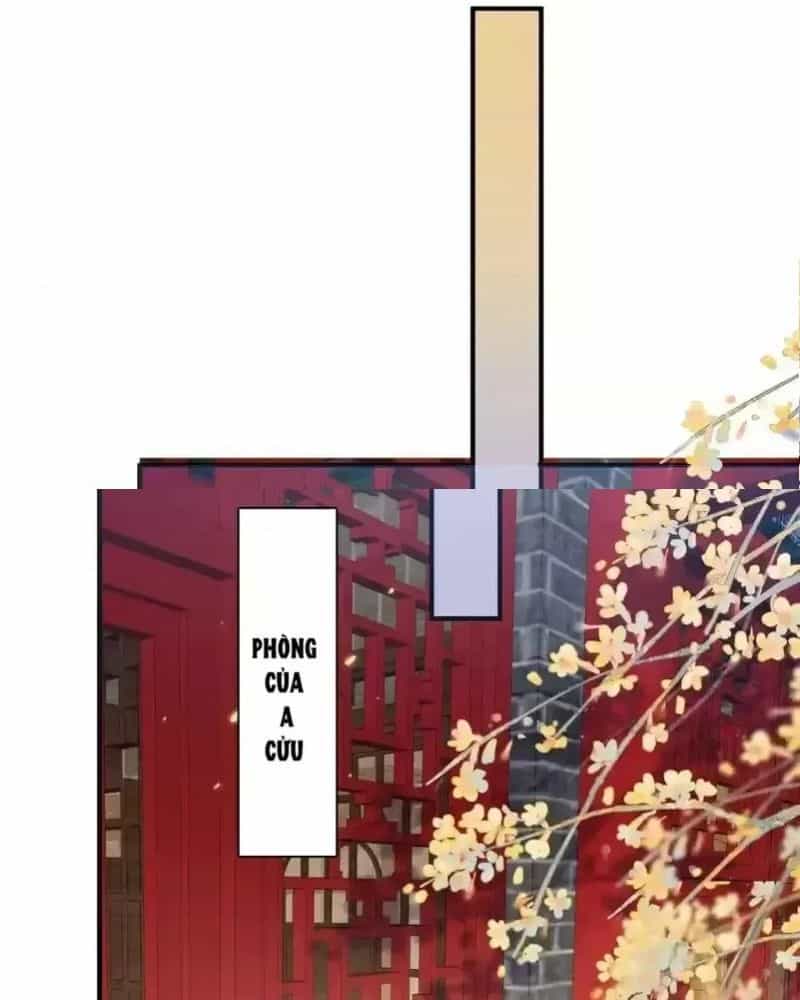 Ta Vô Địch Lúc Nào - Chương 219 - ảnh 21