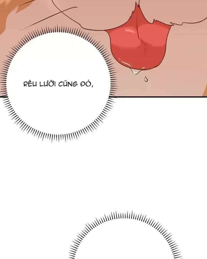 Ta Vô Địch Lúc Nào - Chương 219 - ảnh 54