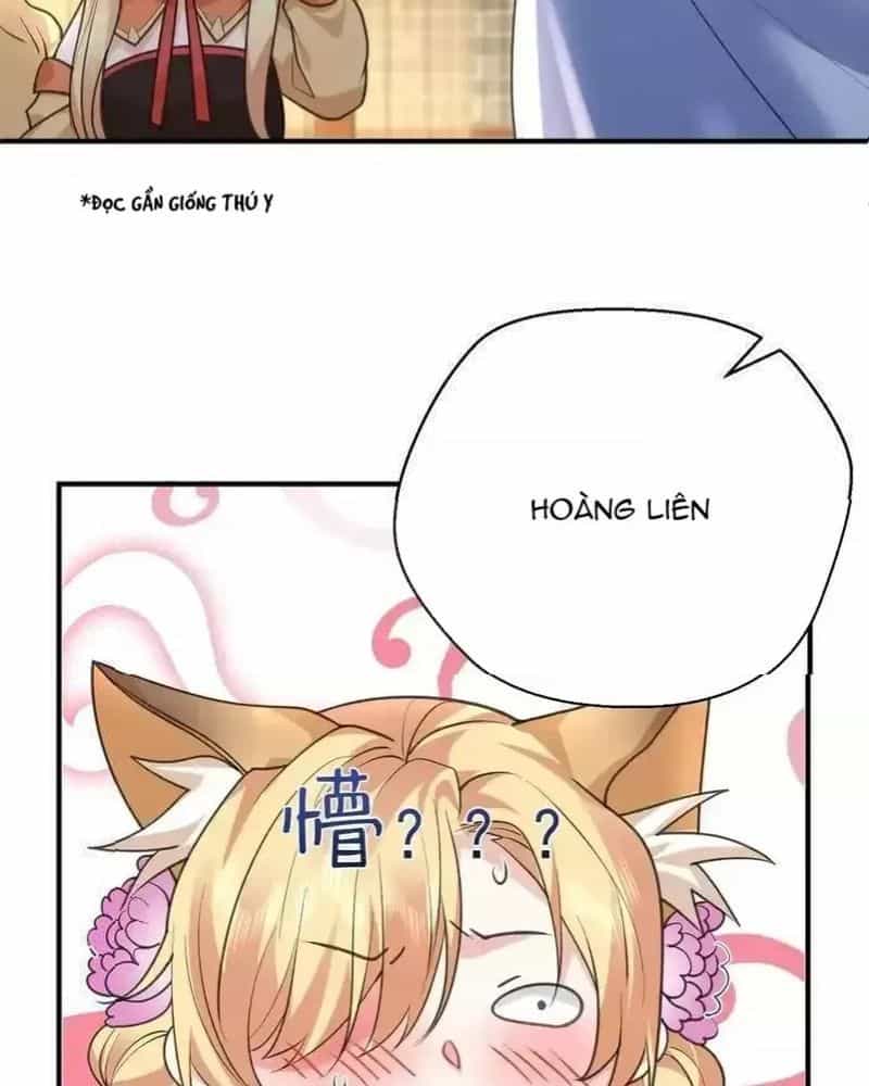 Ta Vô Địch Lúc Nào - Chương 220 - ảnh 5