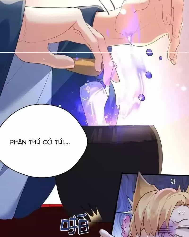 Ta Vô Địch Lúc Nào - Chương 220 - ảnh 7