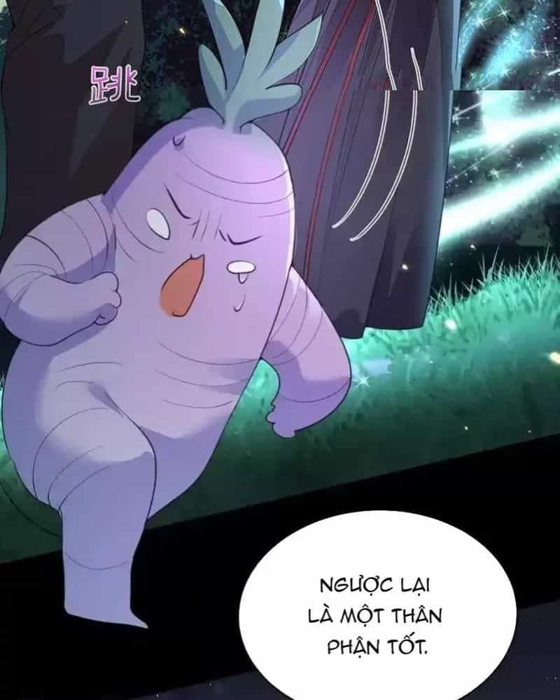 Ta Vô Địch Lúc Nào - Chương 229 - ảnh 27
