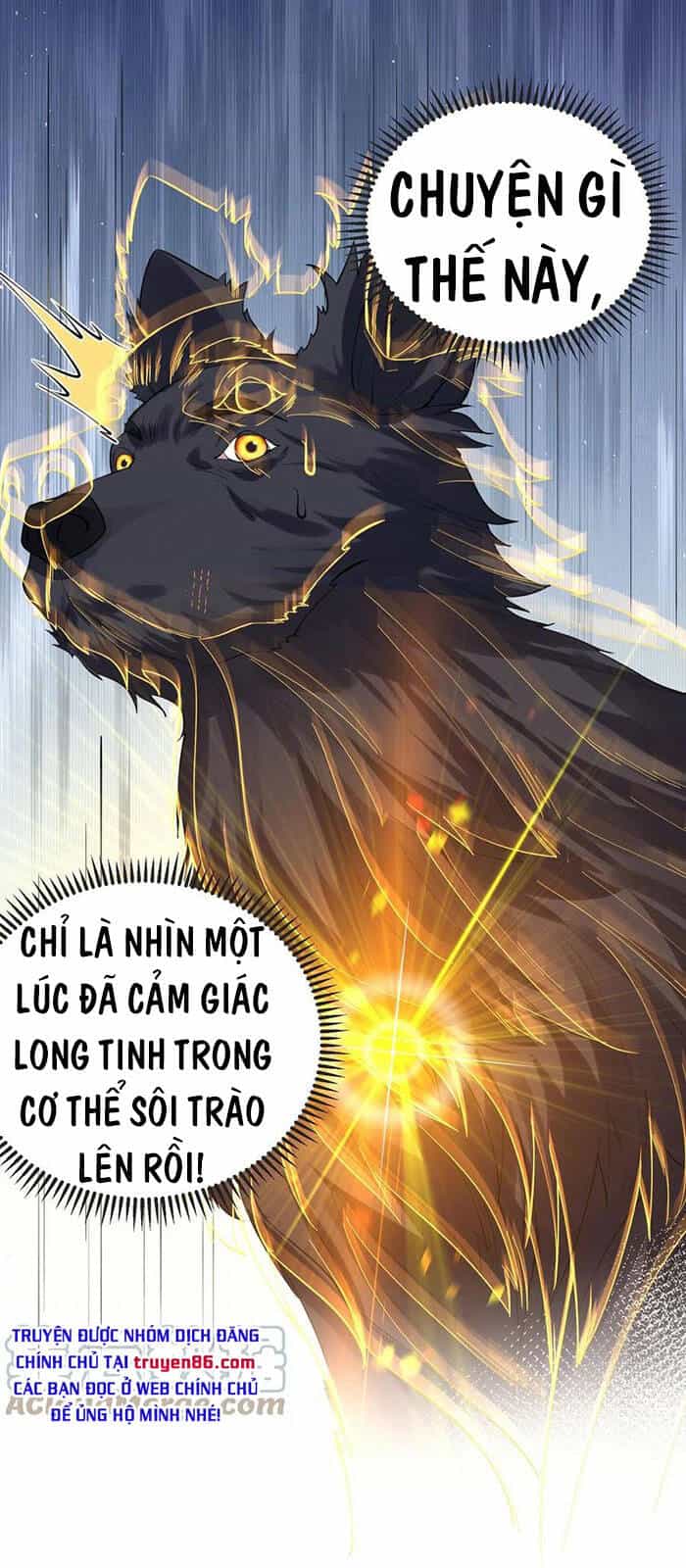 Ta Vô Địch Lúc Nào - Chương 37 - ảnh 14