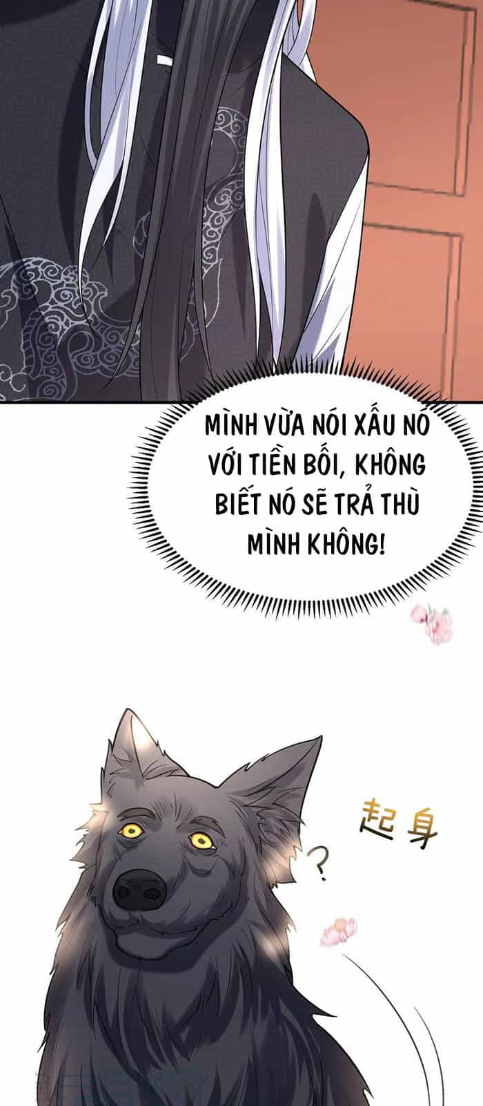 Ta Vô Địch Lúc Nào - Chương 39 - ảnh 20