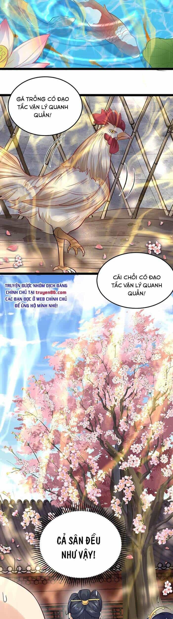 Ta Vô Địch Lúc Nào - Chương 4 - ảnh 22