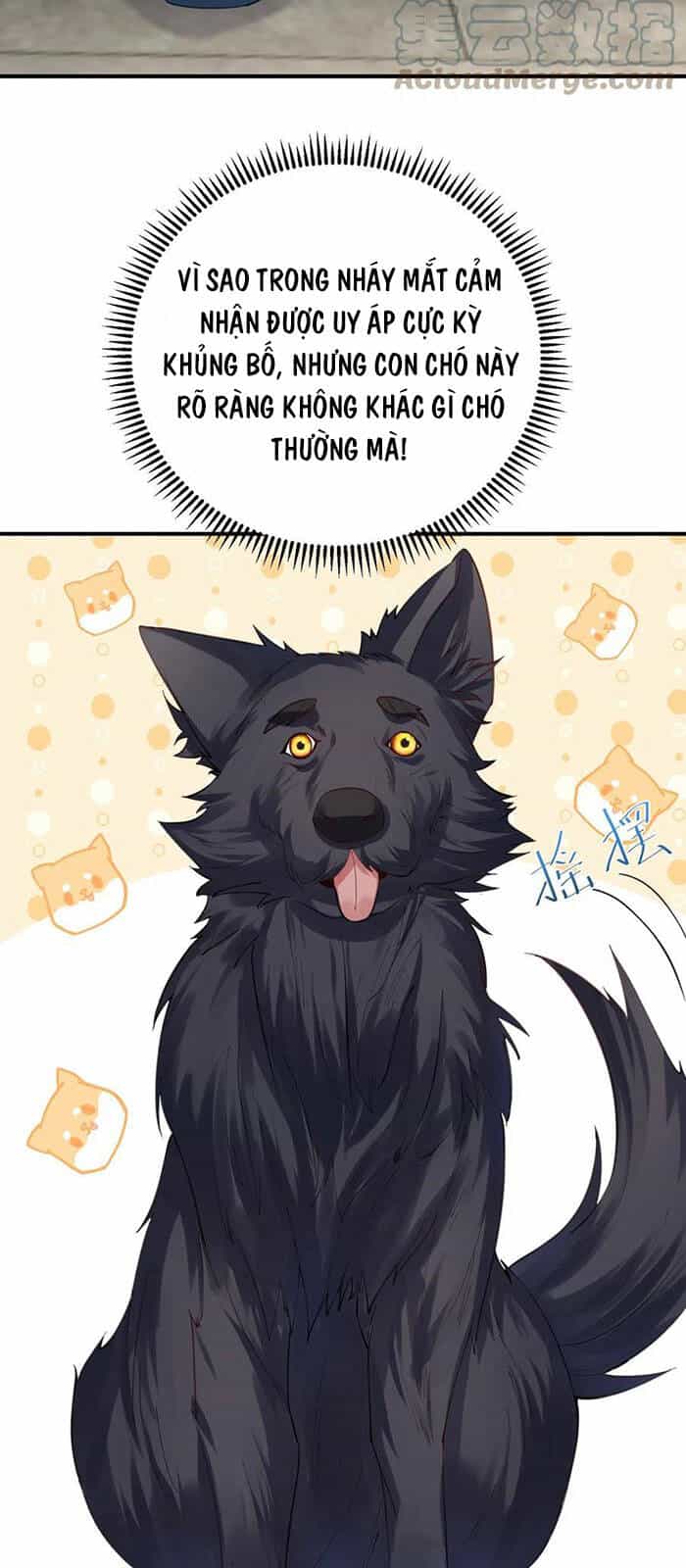 Ta Vô Địch Lúc Nào - Chương 52 - ảnh 9