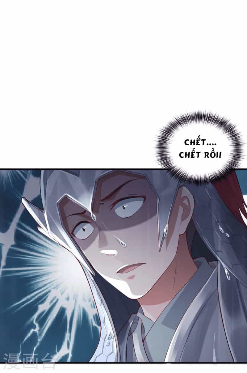 Ta Vốn Là Mèo - Chương 1 - ảnh 2