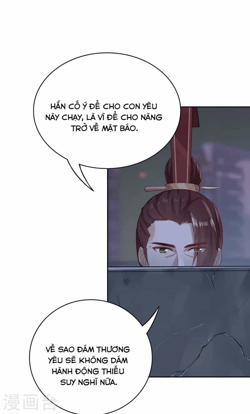 Ta Vốn Là Mèo - Chương 4 - ảnh 30