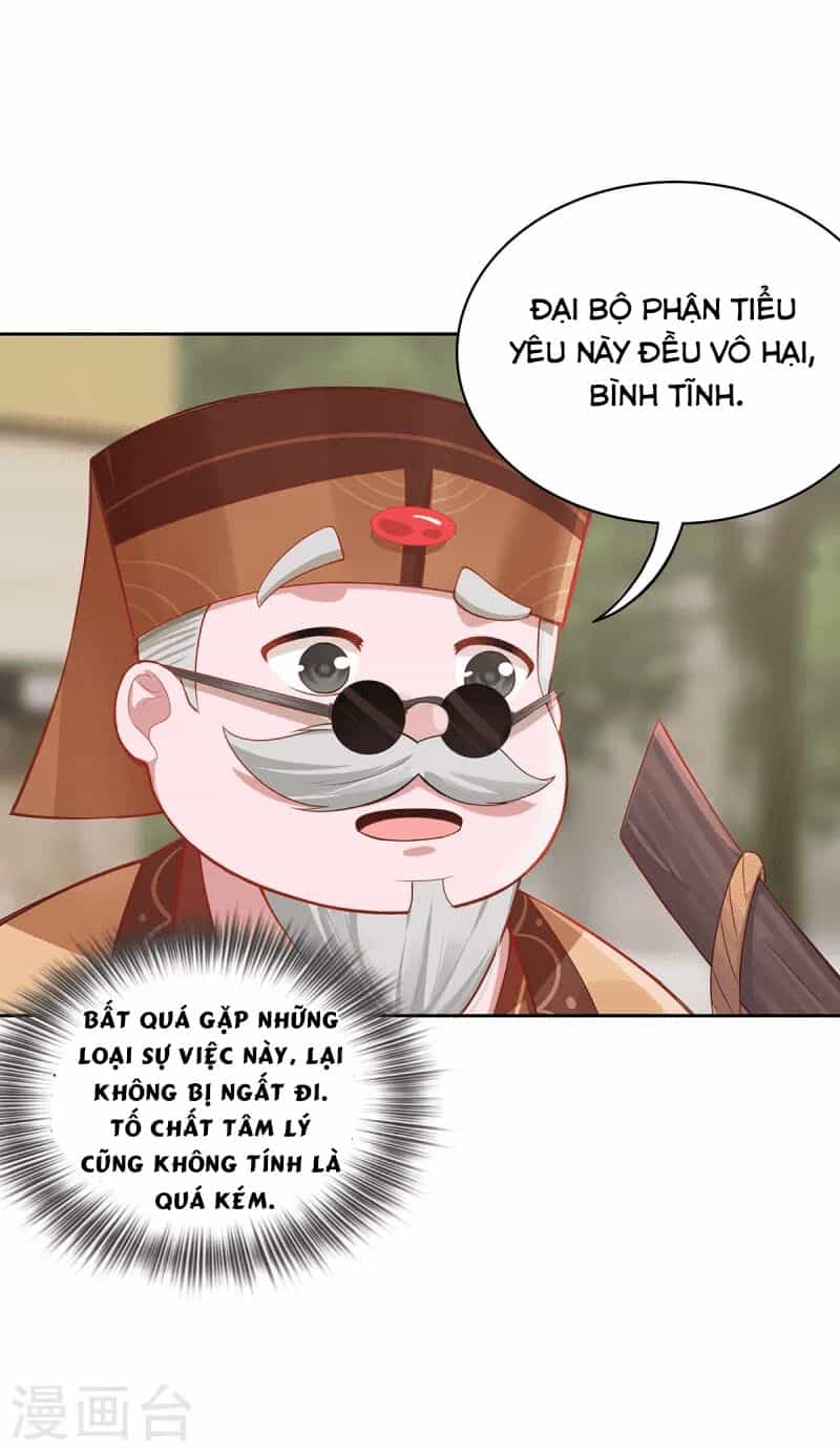 Ta Vốn Là Mèo - Chương 5 - ảnh 26