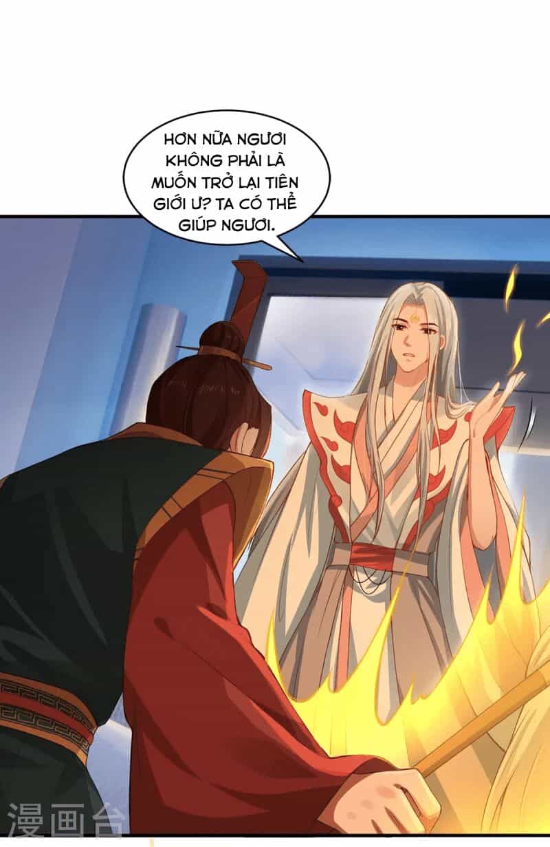 Ta Vốn Là Mèo - Chương 7 - ảnh 4