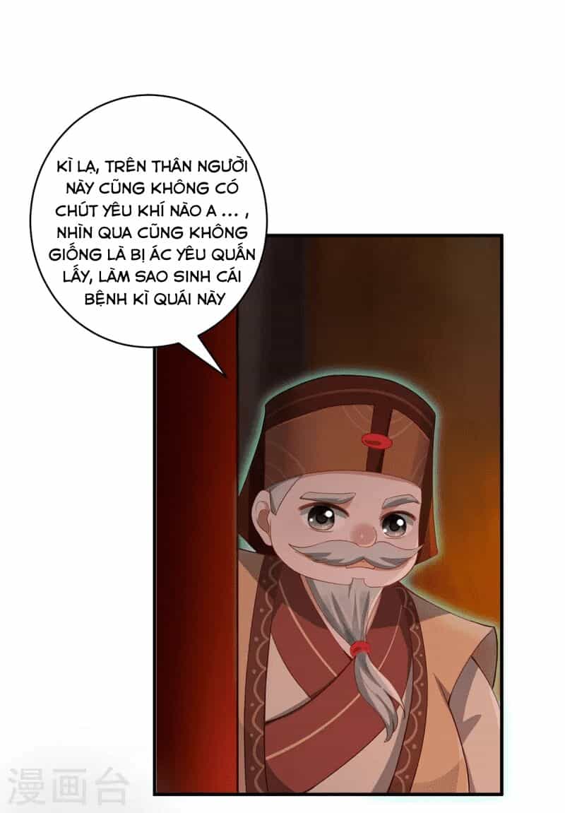Ta Vốn Là Mèo - Chương 8 - ảnh 10