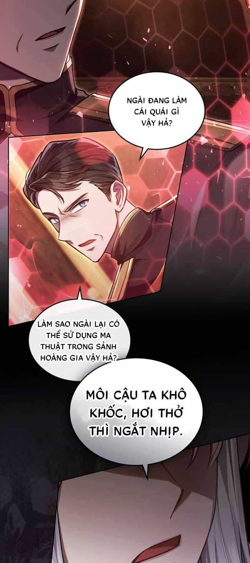 Tái Sinh Thành Hoàng Tử Của Quốc Gia Kẻ Địch - Chương 13 - ảnh 11