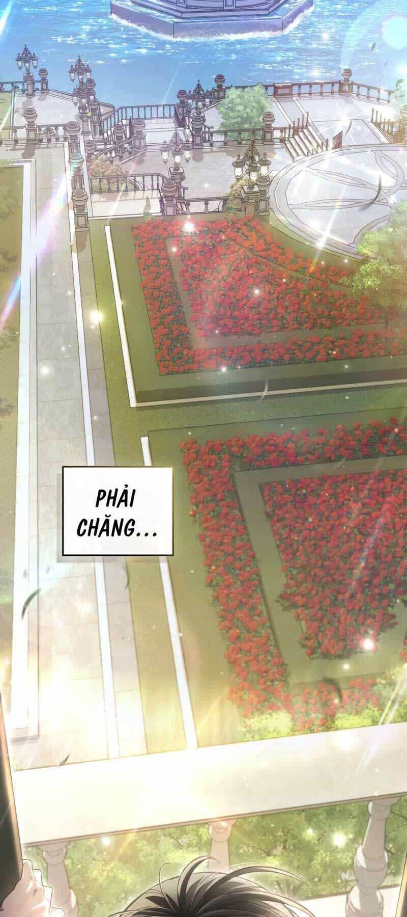 Tái Sinh Thành Hoàng Tử Của Quốc Gia Kẻ Địch - Chương 2 - ảnh 29