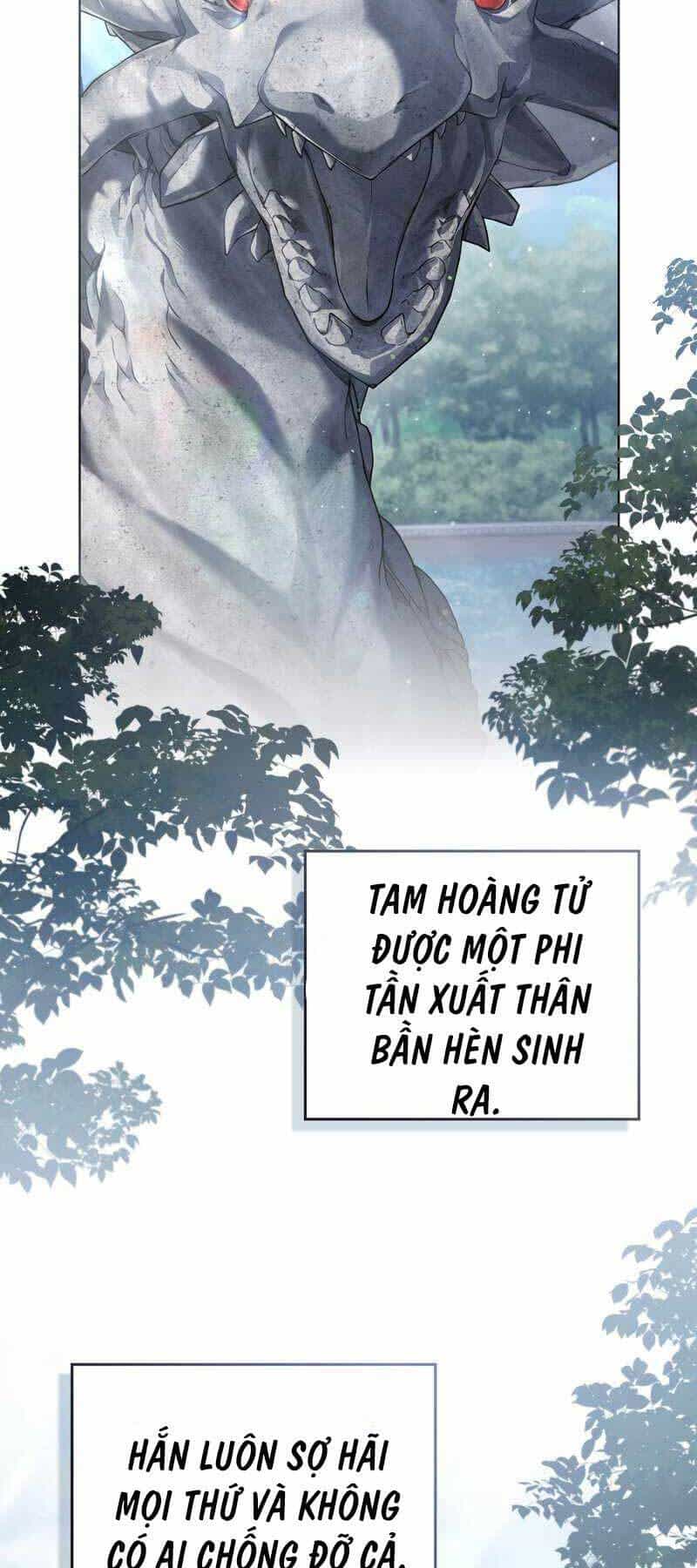 Tái Sinh Thành Hoàng Tử Của Quốc Gia Kẻ Địch - Chương 3 - ảnh 40
