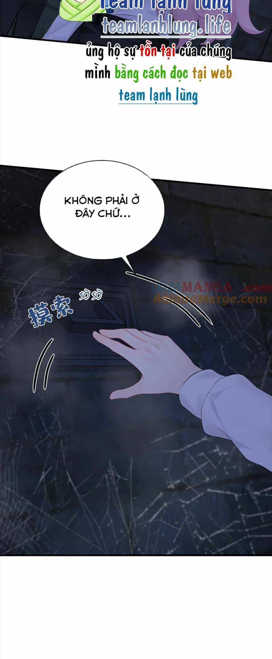 Tái Sinh Trở Lại : Chồng Cũ Khóc Lóc Cầu Xin Tái Hôn - Chương 183 - ảnh 13