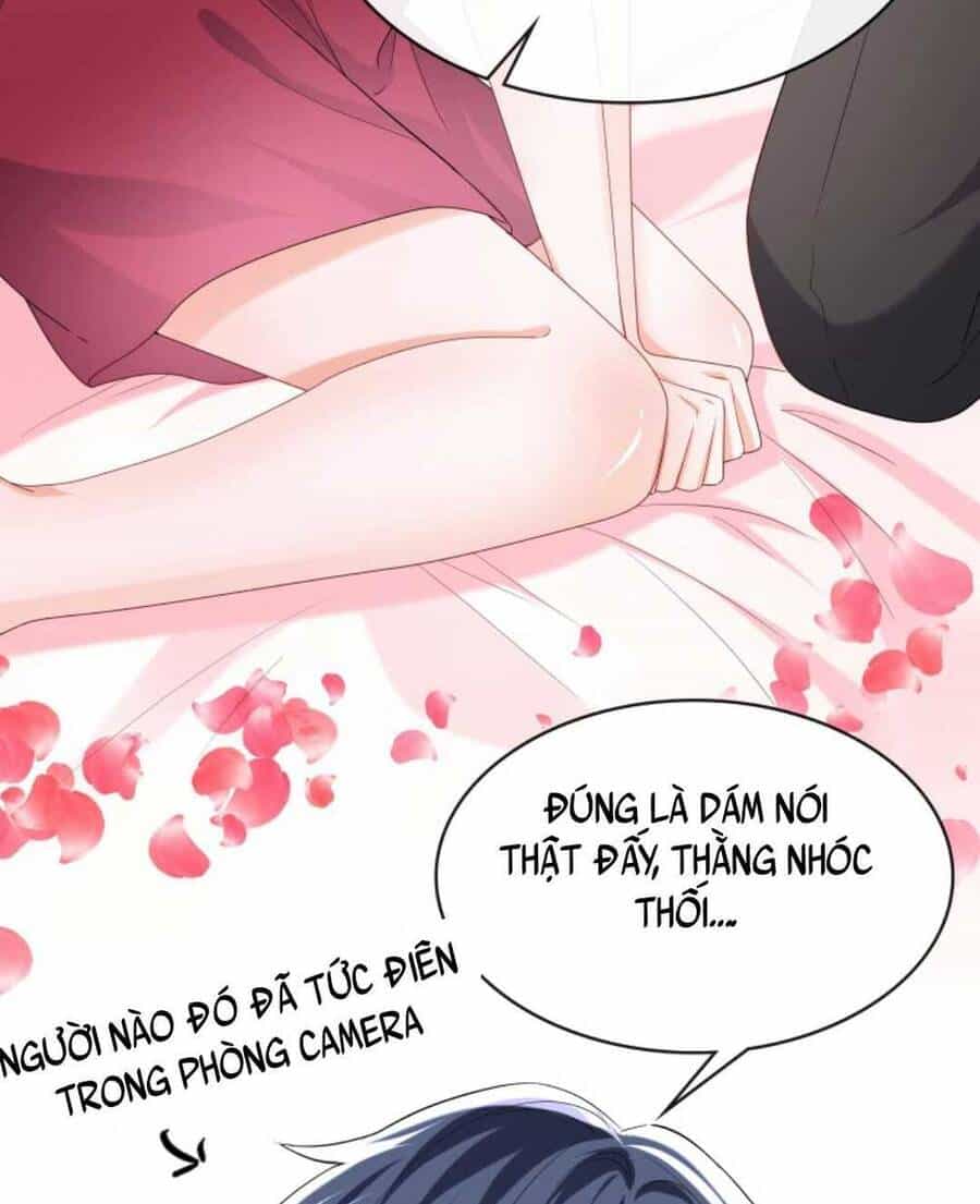 Tái Sinh Trở Lại : Chồng Cũ Khóc Lóc Cầu Xin Tái Hôn - Chương 33 - ảnh 35