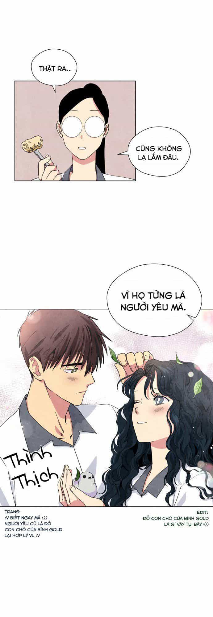 Tai Sói Và Mũ Đỏ - Chương 13 - ảnh 31