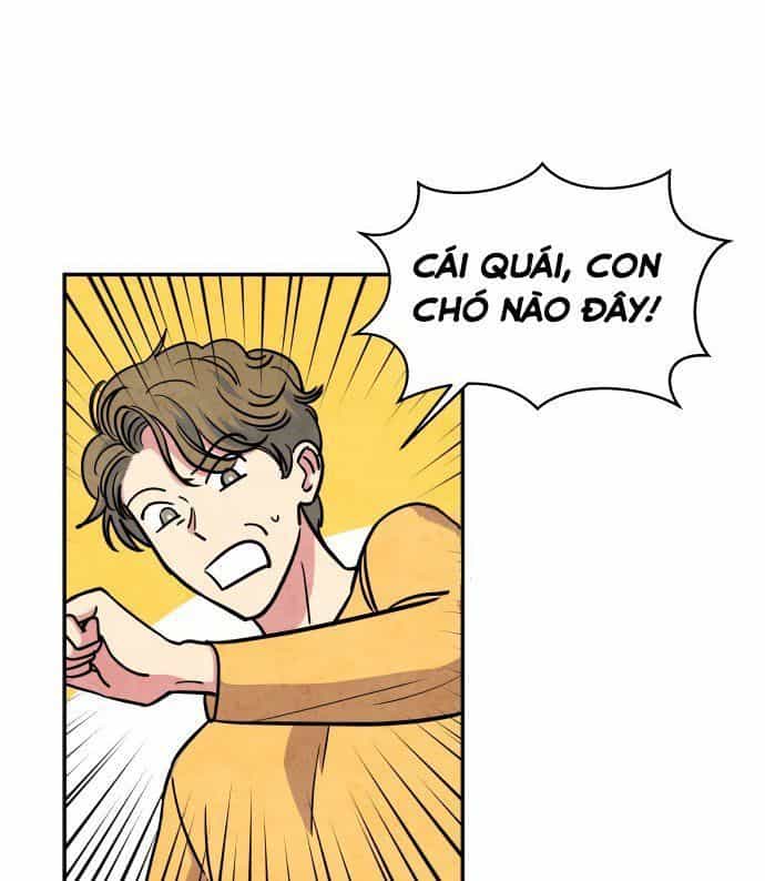 Tai Sói Và Mũ Đỏ - Chương 30 - ảnh 27