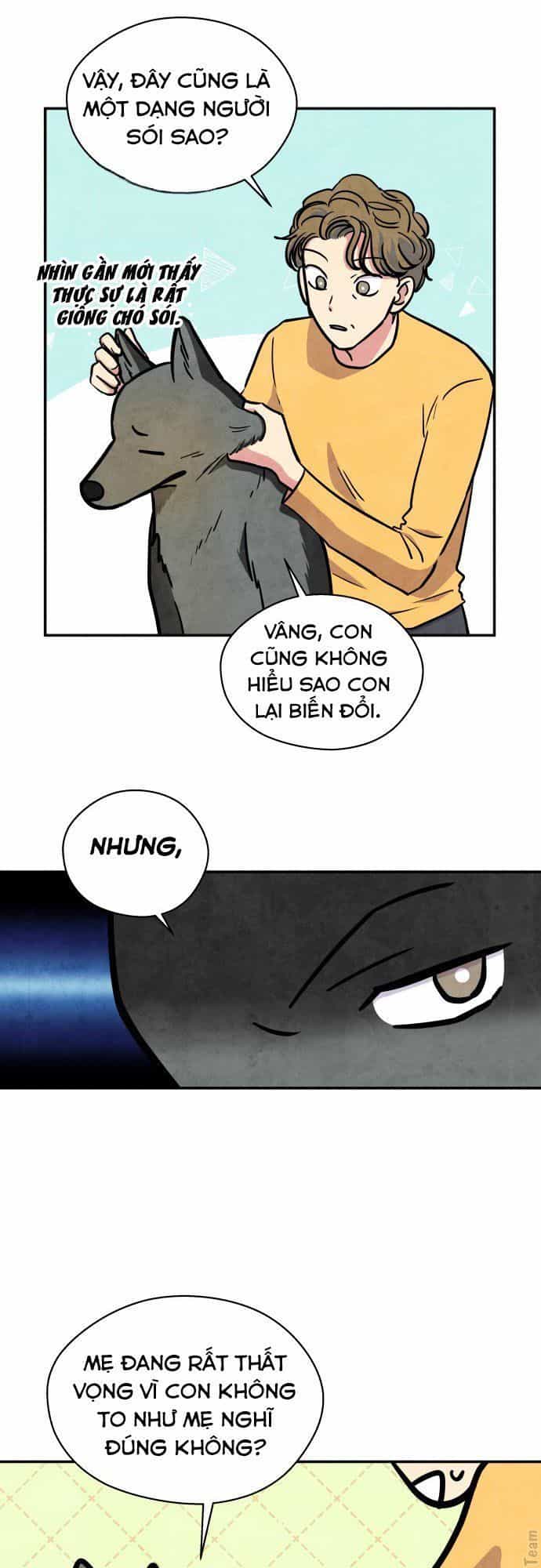 Tai Sói Và Mũ Đỏ - Chương 30 - ảnh 33