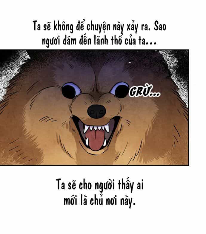 Tai Sói Và Mũ Đỏ - Chương 31 - ảnh 13