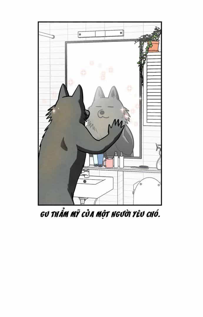 Tai Sói Và Mũ Đỏ - Chương 38 - ảnh 61