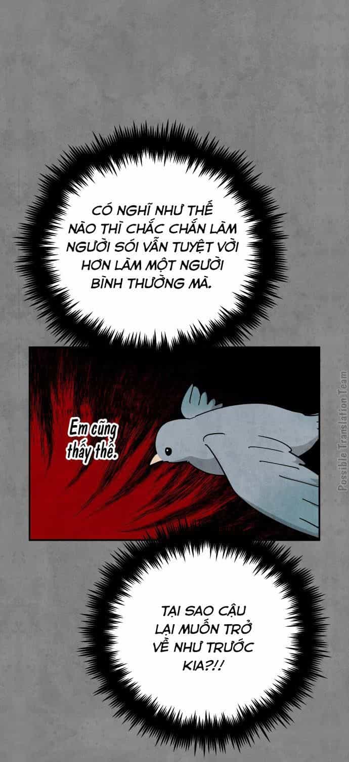 Tai Sói Và Mũ Đỏ - Chương 41 - ảnh 37