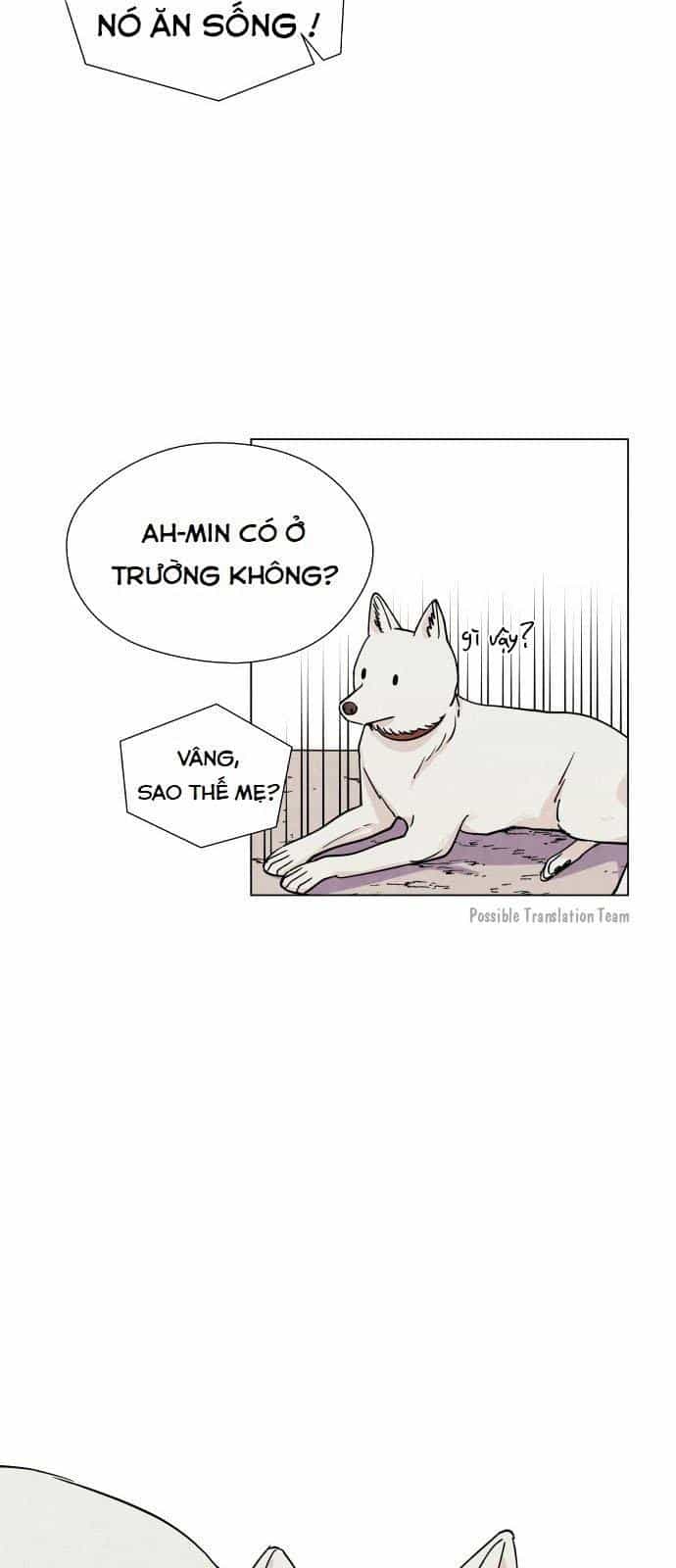 Tai Sói Và Mũ Đỏ - Chương 6 - ảnh 27